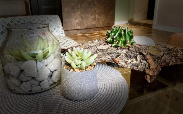 Luxury Apartments Ivon