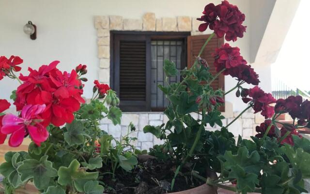 Casa Vacanze Rosa