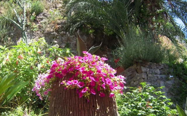 Suite I Limoni