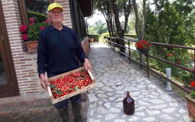 La Ginestra