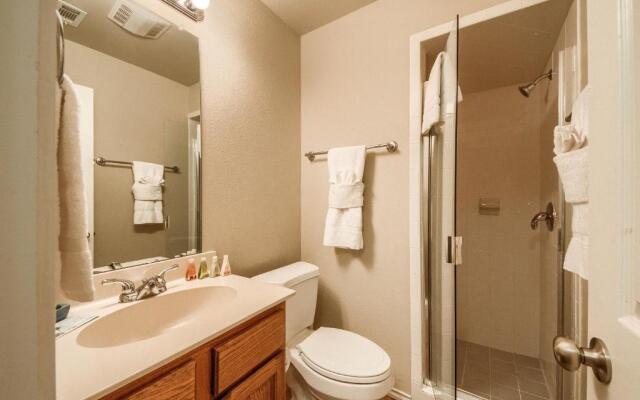 Dreams and Streams WW H303