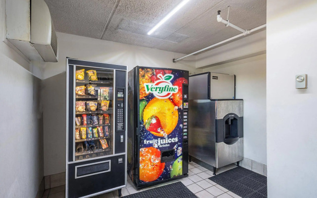 Red Roof Inn Tampa Busch