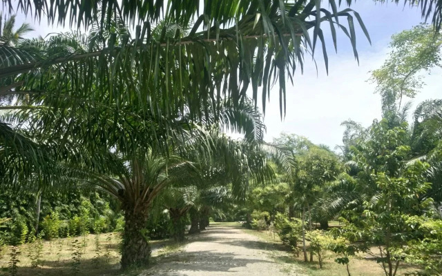 Baan Suan Nam Resort