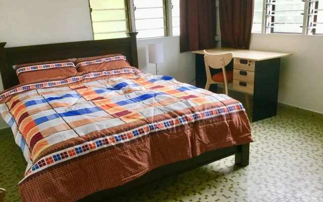 Sea Lion by the Beach