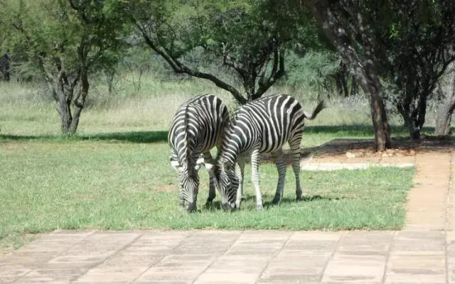 Leopardsong Game Lodge