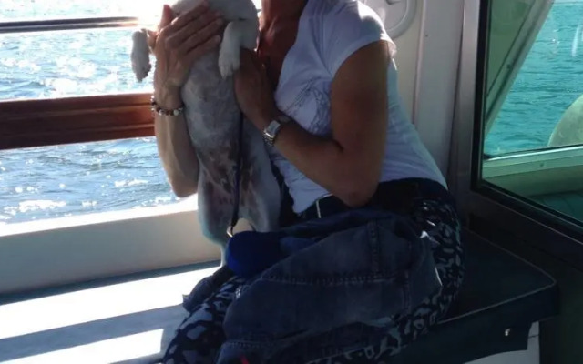 Bed and breakfast la Stella