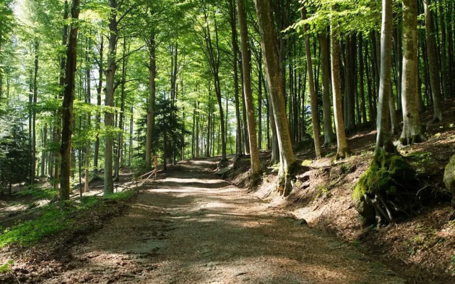 Hotel Parco dei Faggi - Monte Amiata