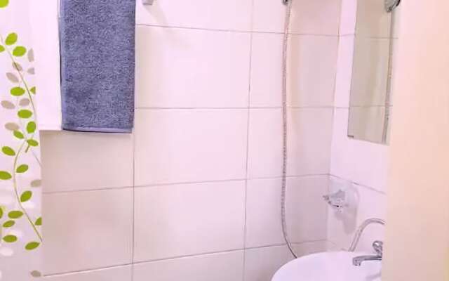 Dongdaemun Cactus House