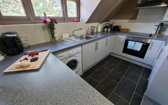 Lincolns at the Whitehouse