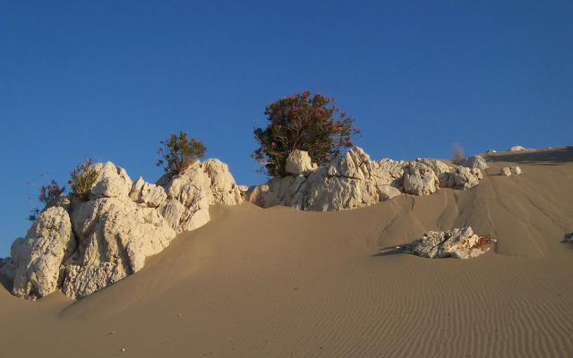 Patara Caretta Hotel