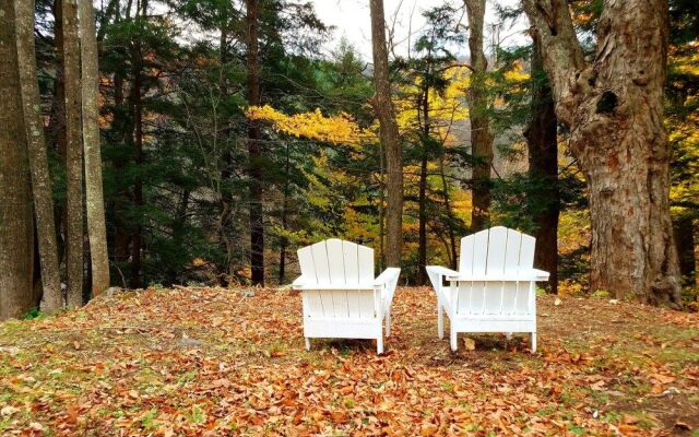 Black Bear Lodge