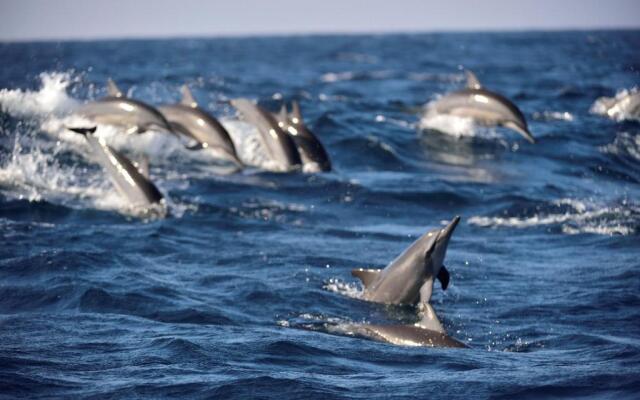 Majestic Beach Retreat