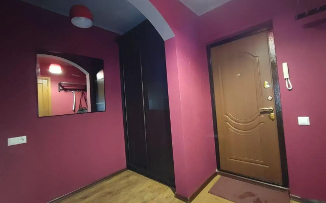 Apartments on Radishchev street 36k2