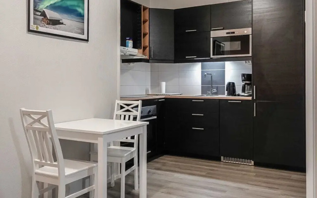 Levin Revontulitaivas d Kittil