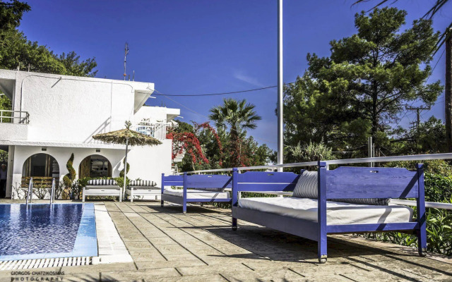 Отель Trees Art Boutique