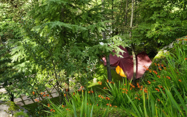 Solang Valley Resort