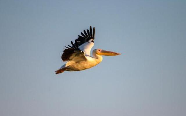 Danube Delta Hostel Homestay