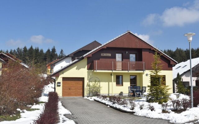 A Beautiful Villa at the Lipno Lake With ski Pistes at Walking Distance