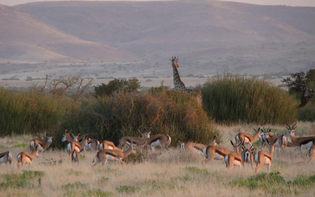 Grootberg Lodge