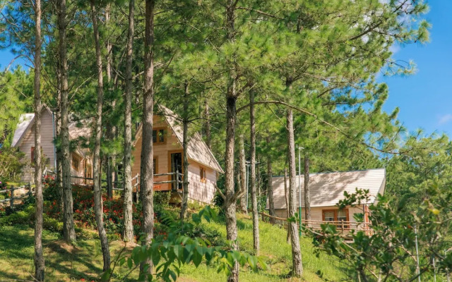 Kim Resort - Khu Nghĩ Dưỡng Rừng Lá Kim