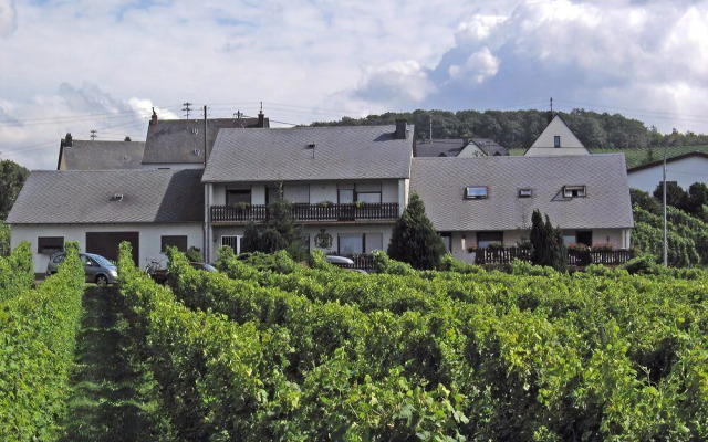Pension und Weingut Moselblick