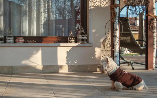 Welcome Traveller Frida's Apartment