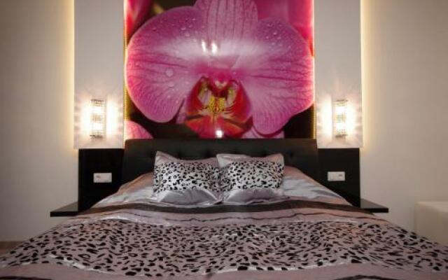 Regina Delux Apartman