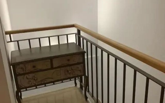 AP989 Cabagua Oliva Nova