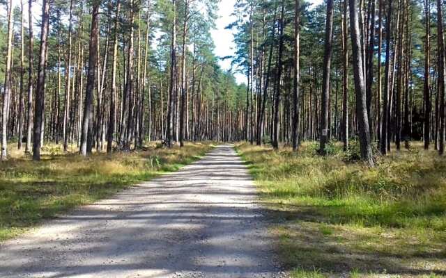 EKOLANDIA Domek na wynajem