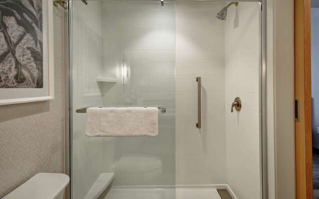 Hilton Garden Inn Jackson