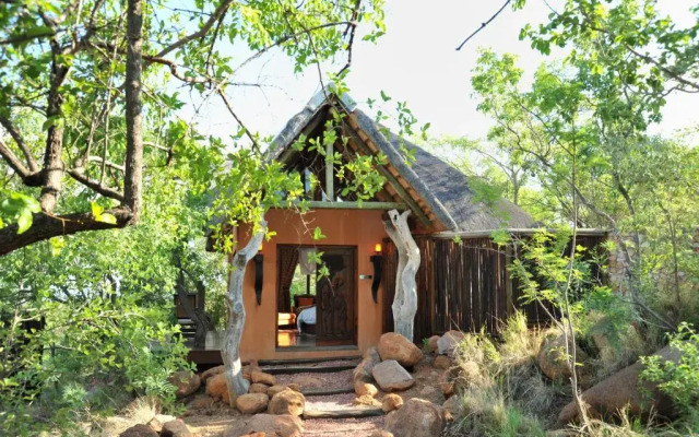 Wild & Free Game Lodge