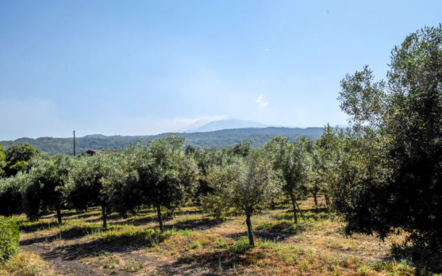 Locazione turistica Serena