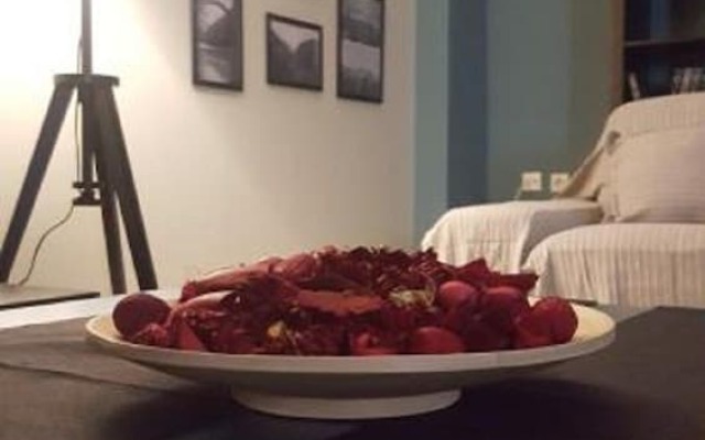Anti's Apartment
