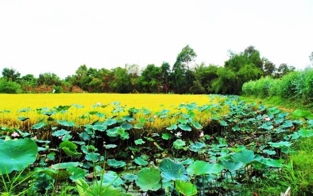 Hai Lua Homestay (Lotus Lake Homestay)