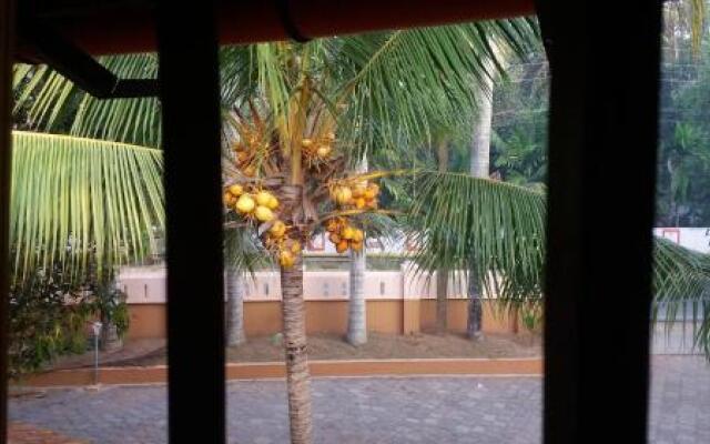 Palm Bliss
