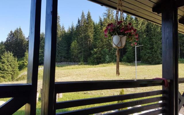 Pensiunea Maria-Bucovina