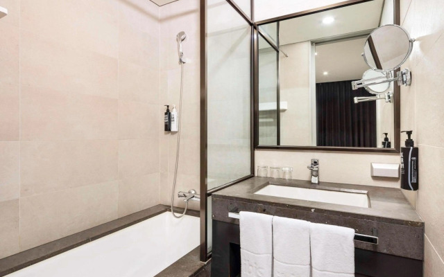 ibis Ambassador Seoul Myeongdong
