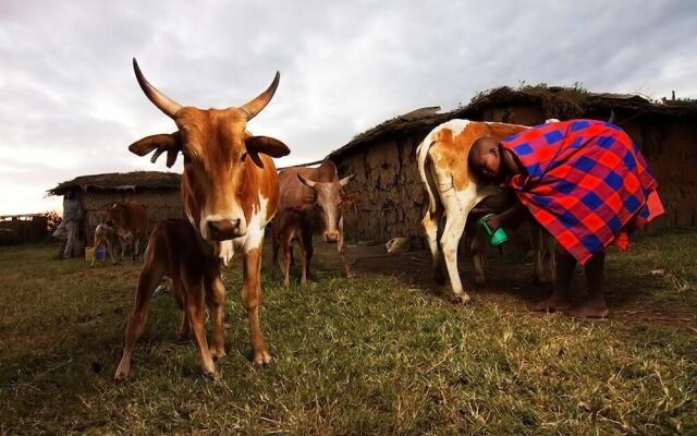 Masai Village Stay Tanzania