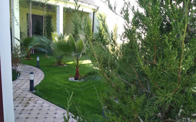 Green House Samarkand B&B