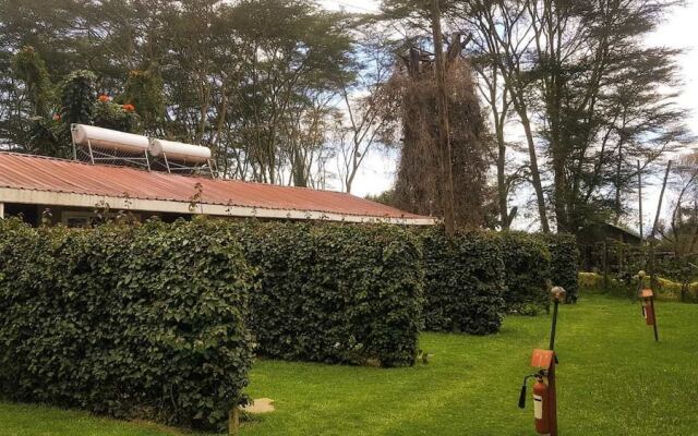 Hippo Safaris Resort