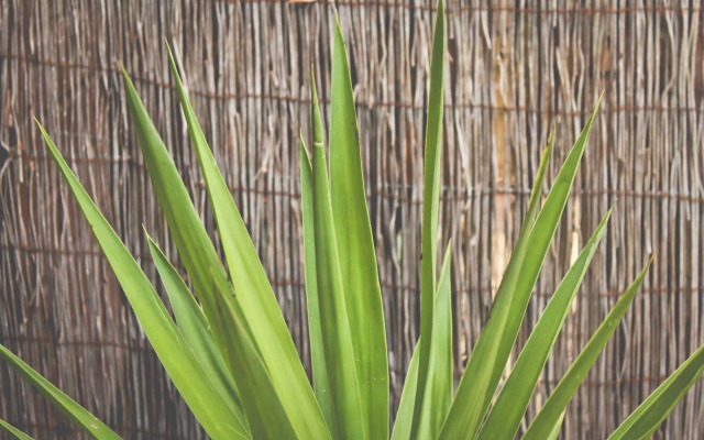 Yallingup Forest Resort