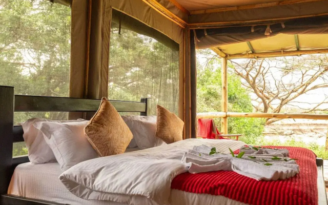 Aruba Mara Camp