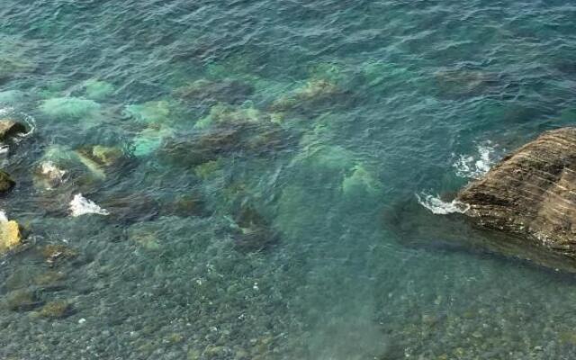La Bloo di Vernazza - Sea View - AC&WiFi - Vernazzarentals