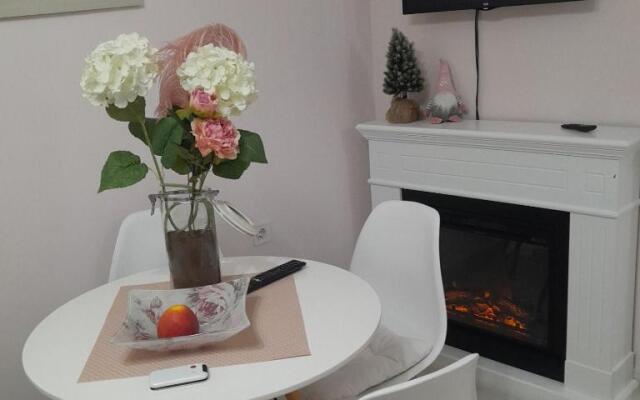 Park Apartment in Niksic