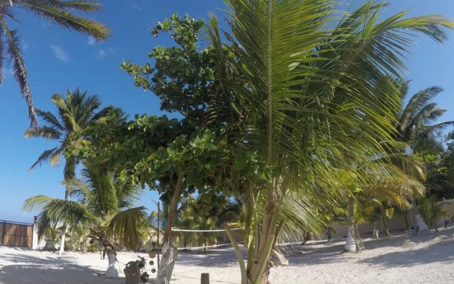 Caribbean Casa Blanca