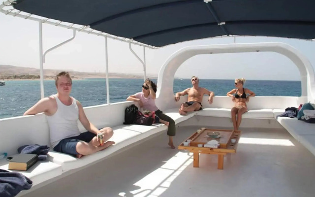The Royal Luxury Apartments & studios