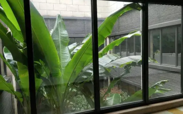 Xianning Guest House