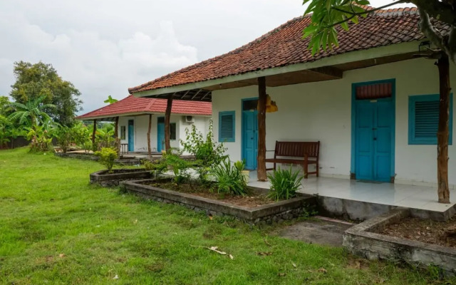 OYO 93604 Hepi Bungalow Lovina