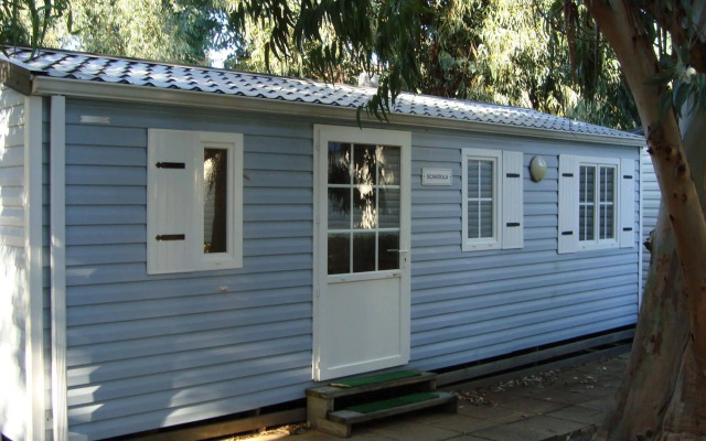 Camping International