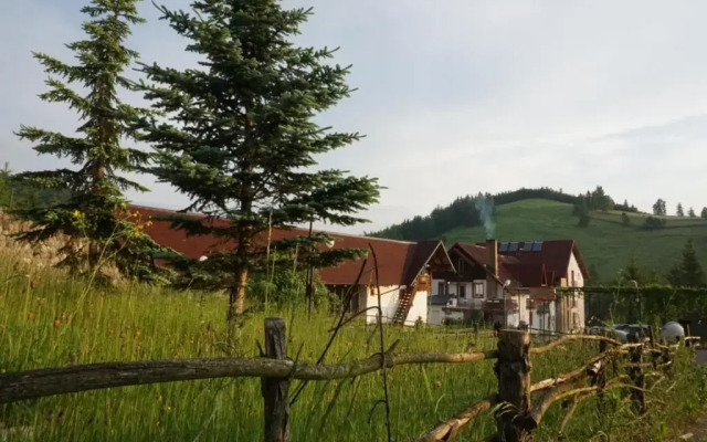 Hotel Floare de Colt Bucovina